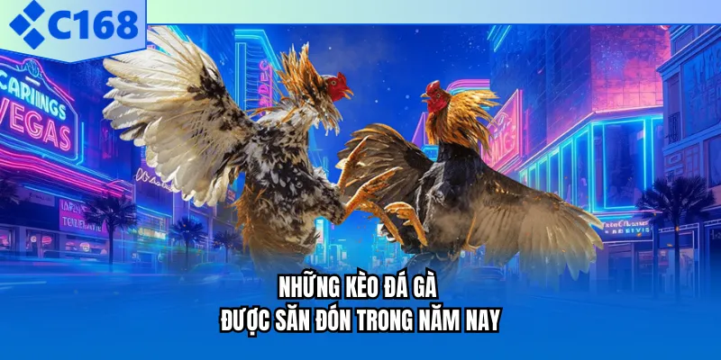 Những kèo đá gà được săn đón trong năm nay